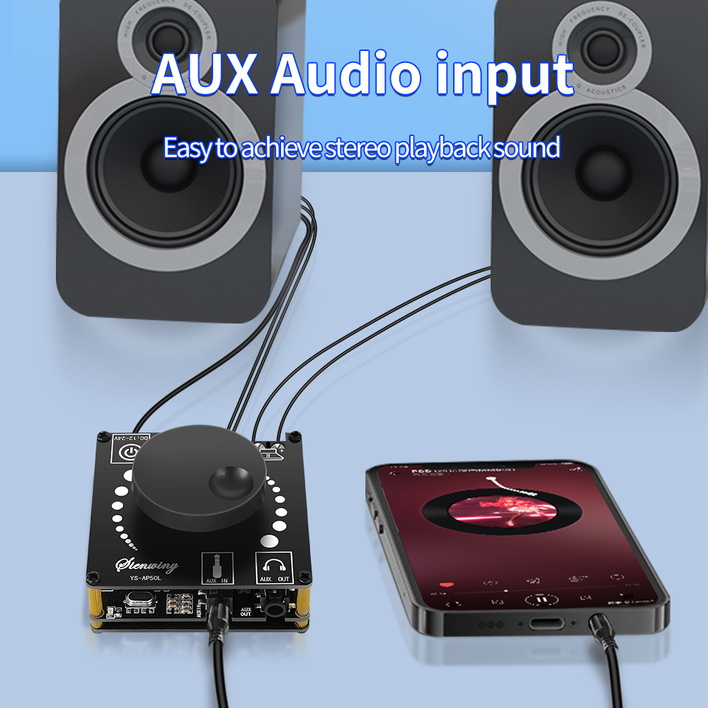 Modulo di modifica audio fai-d - Diy Audio Electronics Kit recensione e prezzo